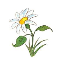 flor.JPG