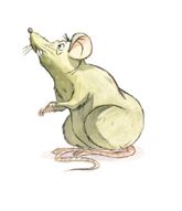 rato.JPG